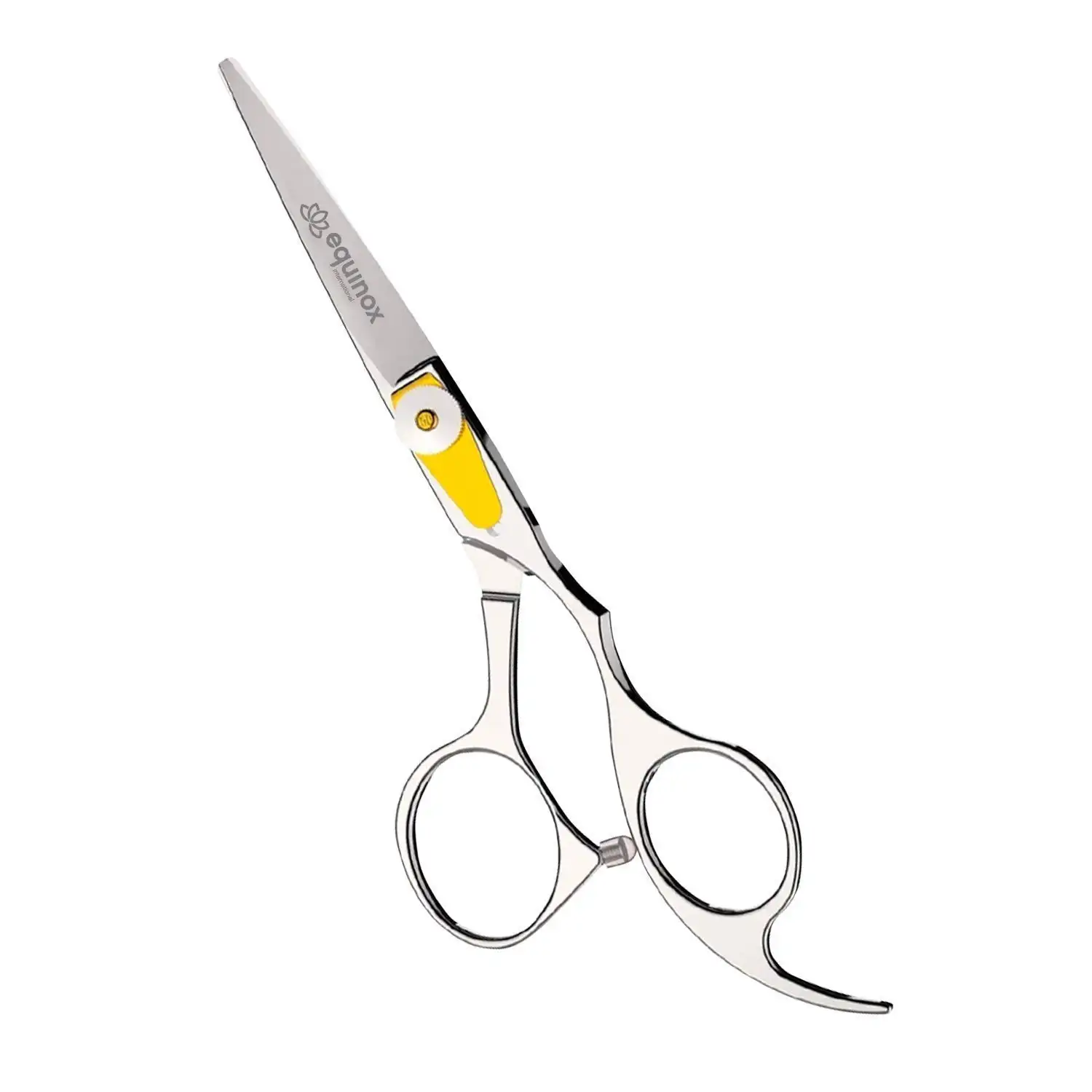 Razor Edge Series Hair Cutting and Thinning Scissors Shears Set 6Inches Stainless Steel