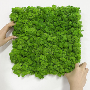 Linwoo, большая консервированная искусственная зеленая искусственная трава, 8 шт. - Product Image 3