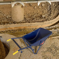 Carretilla de Acero Reforzado WB3502 con Rueda Única y Caja Profunda para Jardín, Obra y Transporte de Arena