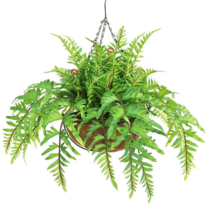 Pianta appesa <span class=keywords><strong>felce</strong></span> artificiale alta 55cm con cesto finto appesa <span class=keywords><strong>felce</strong></span> - Product Image 6