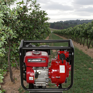 Bombas de Riego Agrícola Automáticas Mini de Alta Capacidad de 3/4 Pulgadas, Bombas de Agua Móviles de Gasolina con Soporte OEM Personalizado - Product Image 3