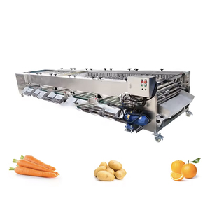 Máquina Automática de Clasificación y Calibración de Patatas, Ajos, Cerezas, Ciruelas, Dátiles, Anacardos y Piñas con PLC para Frutas y Verduras - Product Image 6