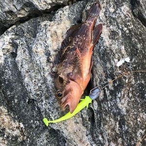 6 unids/bolsa T-tail Fly Fish señuelo suave 5cm/1g y 7,5 cm/2G zapatilla de agua dulce bajo mandarín pez biónico Fishbait - Product Image 5