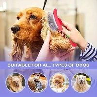 Brosse professionnelle pour toilettage canin, brosse à poils pour chiens et chats, peigne pour animaux de compagnie avec des picots extra longs, élimine efficacement les nœuds, peigne pour chien