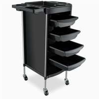 Chariot de coiffure professionnel transfrontalier en plastique étanche pour outils de permanente et de coloration, conception réutilisable, grande capacité de rangement pour les cheveux