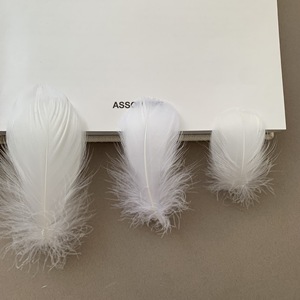 Plumes d'oie Erica 48cm 711cm 913cm Blanc Noir Artisanat Bijoux Vêtements Accessoires - Product Image 1