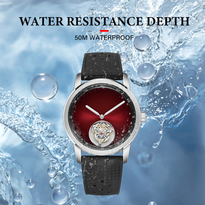 Đồng hồ đeo tay cơ khí Tourbillon cao cấp khung thép không gỉ mặt kính Sapphire dây da chống nước mới chính hãng - Product Image 3