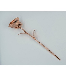 Rose véritable plaquée argent 999 de qualité supérieure avec boîte cadeau élégante, cadeau romantique classique pour un anniversaire, la Saint-Valentin, une occasion spéciale - Product Image 1