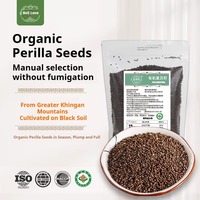 Stock Neuf de l'époque, pas des stocks anciens : Graines de Perilla 100% Naturelles et Biologiques, Matières Premières pour l'Huile de Perilla