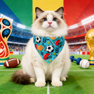 Yisi Pet Bandana Adjustable Digital Print Sports Pattern Cat <b>Dog</b> Neck Bib For Party Decorate - Product Image 1