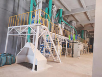 Usine complète de nettoyage du blé, machines de traitement des graines de sésame à impulsions 10T, machines de traitement des graines de maïs pour la reproduction des semences