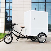 Vélo électrique à trois roues 48V 850W, véhicule utilitaire électrique à 3 roues pour adultes, mini-fourgonnette, quad, fourgonnette de transport - Approvisionnement direct usine