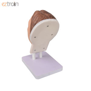 Modelo Anatómico <span class=keywords><strong>de</strong></span> Rostro Femenino <span class=keywords><strong>de</strong></span> Silicona, Base <span class=keywords><strong>de</strong></span> Plástico, para <span class=keywords><strong>Ciencias</strong></span> Médicas, Cursos <span class=keywords><strong>de</strong></span> Estética, <span class=keywords><strong>Instituto</strong></span>, Hospital, Entrenamiento <span class=keywords><strong>de</strong></span> Sutura - Product Image 3