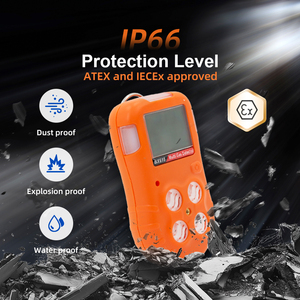 Analizadores de Gas Portátiles BX616, Detector de Gas Multigas Portátil CO O2 H2S CH4 con Carga de Datos y Alarma TWA para <span class=keywords><strong>Gases</strong></span> Tóxicos - Product Image 3