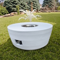 Offre Spéciale – Brasero à Gaz Métallique 50000-74999 BTU – Chauffage Écologique pour Camping et Terrasse – Portable, Durable, Facile à Assembler, Résistant aux Intempéries