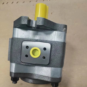 Bomba de Engranajes Hidromecánica IPC5-40-101 IPC 5-50 101 IPC5/40/101 Bombas de Engranajes Internos de Alta Presión IPC IPC3 IPC4 IPC5 IPC6 IPC7 - Product Image 1