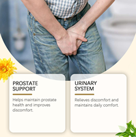 Thé aux herbes pour la santé de la prostate, marque privée Herborigen OEM, avec extrait d'herbes, mélange de fleurs fraîches, 5g x 20 sachets