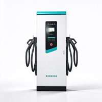 Unité de charge DC double pour parking intérieur, chargeur rapide à double connecteur avec écran LCD, lecteur de carte, garage souterrain
