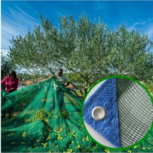 Sıcak file tente yüksek kalite ucuz fiyat zeytin ağacı ağları hasat ağları 90 Gsm - Product Image 2