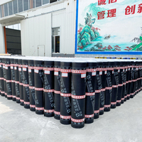 Membrane d'étanchéité en bitume modifié SBS de haute qualité, rouleau de 10 m de long, garantie 5 ans, pour l'étanchéité des toitures