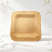 Assiettes jetables carrées en bambou pour le camping et les fêtes – Écologiques, biodégradables, légères et compostables