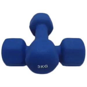 Gym Fitness Iron Dumbbells With Coated Color