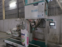 Machine de pesage et de remplissage de sacs de céréales de 5 à 10 kg pour supermarché DCS-50FB-C, équipement d'ensachage de riz pour la vente au détail avec scelleuse thermique