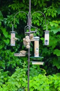 Mangeoire à oiseaux en métal de qualité supérieure pour décoration de jardin la plus populaire <span class=keywords><strong>Station</strong></span> d'alimentation pour oiseaux sauvages en métal attirant l'extérieur - Product Image 5