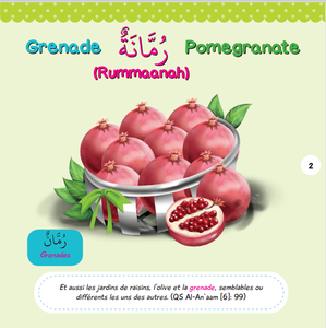 Fransızca arapça İngilizce müslüman çocuklar kuran kelime kitapları - Product Image 3