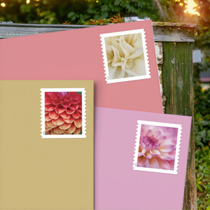 Sellos Postales <span class=keywords><strong>de</strong></span> Alta Calidad <span class=keywords><strong>de</strong></span> EE. UU., Diseño <span class=keywords><strong>de</strong></span> Flores Eternas, Álbum <span class=keywords><strong>de</strong></span> Sellos para Envíos, PVC Impermeable <span class=keywords><strong>de</strong></span> Secado Rápido, Conmemorativo - Product Image 5