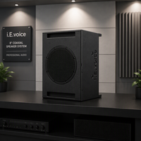 Haut-parleur coaxial bidirectionnel de 10 pouces pour montage au plafond avec audio domestique haute fidélité, logo personnalisé OEM/ODM, configuration flexible