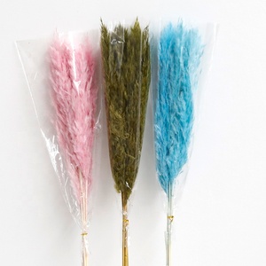 Herbes de la Pampa <span class=keywords><strong>Séchées</strong></span> et Colorées, Petits Roseaux Immortels pour Décoration Maison, Mariage, Noël, DIY - Product Image 6