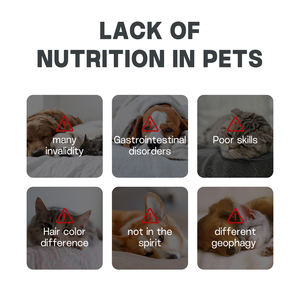 Odm/oem מחמד תוספת אבקת multitamin לחיות מחמד ויטמין בריאות טיפול חתול ותוספת כלב - Product Image 4