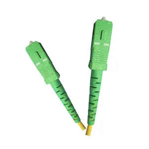 Fiber Optic Cable Patch Cord 3.0mm SC/APC 2 Meter 1 Core PVC/LSZH 9/125 Optical Fiber Jumpers