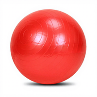 Ballon de yoga en PVC de 55 cm - Anti-explosion, épaissi, pour le soutien du dos, l'exercice, la danse et le fitness
