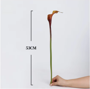 <span class=keywords><strong>Fiori</strong></span> Artificiali Calla Lily <span class=keywords><strong>in</strong></span> Gomma Morbida Effetto Reale 53cm, Texture Umida, Decorazione di Lusso per Matrimoni e Natale - Product Image 5