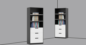 Nhà Sản Xuất Giá Rẻ Bán Buôn Tùy Chỉnh E1 Lớp Chất Liệu Đen Và Trắng Đôi Chính Tả Màu Sắc Hiển Thị Tủ Tập Tin Với Ngăn Kéo - Product Image 3