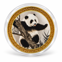 Médaillon Panda Peinture à l'Encre Chinoise 2026, Art Populaire Forêt des Dix Bambous, Boîtier Plaqué Fer