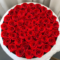 Lovebay Roses Éternelles Préservées pour Noël Fête des Mères, Véritables Roses Cadeau en Boîte Fleur Immortelle Infini pour Toujours
