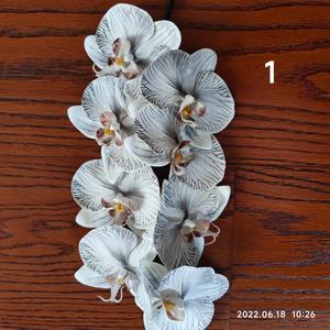 O-X766 Orquídeas Phalaenopsis de Alta Calidad, Flores de Orquídea de Tacto Real, Plantas de Orquídeas <span class=keywords><strong>Dendrobium</strong></span> para Decoración de Bodas y Mesas del Hogar - Product Image 6