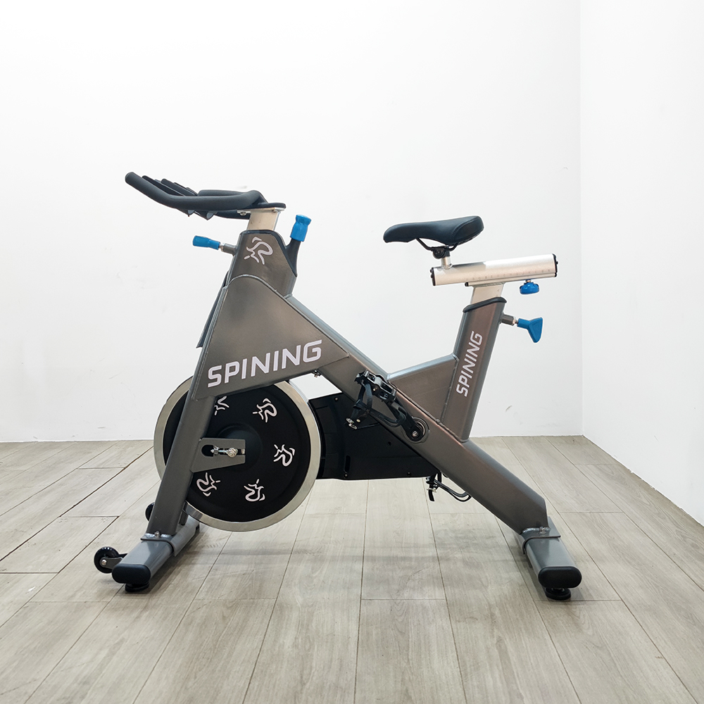 Reebok Vélo de Fitness - Reebok - Modèle FR30 - Maison/Appartement