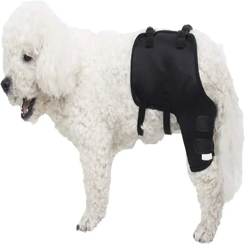 Removable Shoulder Strap Supportive Dog Canine Rear Leg Hock Joint Wrap Protects Wounds Knee Brace for Dogs