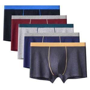 Men's Fashionable Pure Cotton <b>Boxer</b> Shorts Breathable Knitted Fabric High Elasticity Mid-Rise <b>Pant</b> - Product Image 1