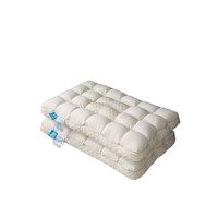 Vente en gros de noyaux d'oreiller imperméables personnalisés pour hôtels cinq étoiles, 200TC, coton et polyester, soutien du cou, soulagement de la pression, literie pour le sommeil