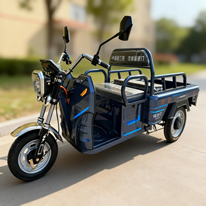 Triciclo Eléctrico Versátil de Alta Potencia de 650w para Transporte de Carga y Pasajeros - Product Image 1