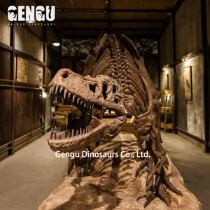 Museum Exhibition High Quality Resin Dinosaur Skeleton