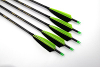 Flèches en carbone pur Pinals pour la chasse à l'arc recurve et à l'arc composé, ID 5,8 mm, 31 pouces, Spine 300