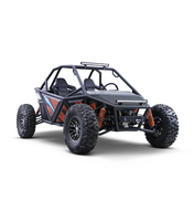 BUGGY ÉLECTRIQUE ADULTE 4*4 20KW HORS ROUTE 2 PLACES ÉLECTRIQUE GO KART BUGGY
