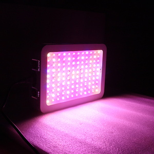 ไฟปลูกพืชแบบ Full Spectrum LED 1200W ชิป COB ตัวเรือนพลาสติก IP65 สำหรับปลูกในร่ม ช่วยเร่งการออกผล - Product Image 6