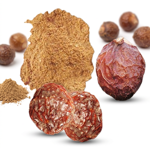 Proveedor Mayorista de Polvo de Reetha de la India - Product Image 1